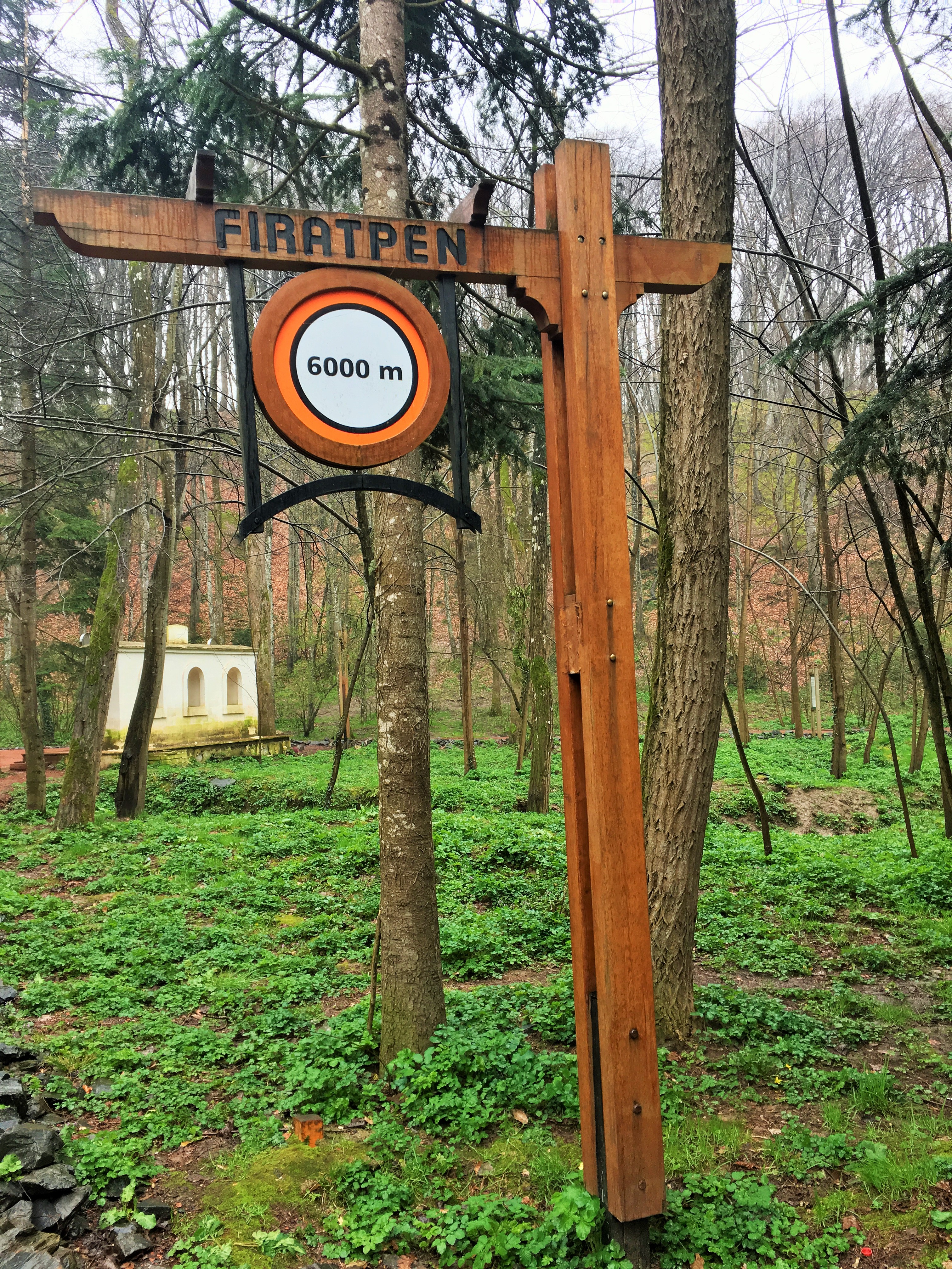 BELGRAD ORMANI YÜRÜYÜŞ PARKURU