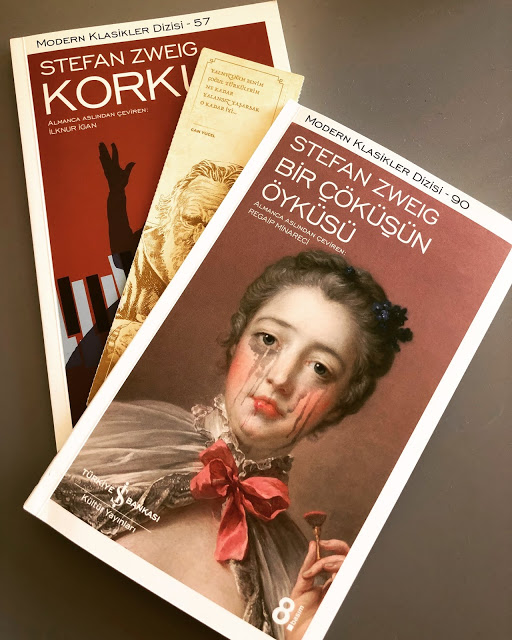 BİR ÇÖKÜŞÜN ÖYKÜSÜ – STEFAN ZWEIG