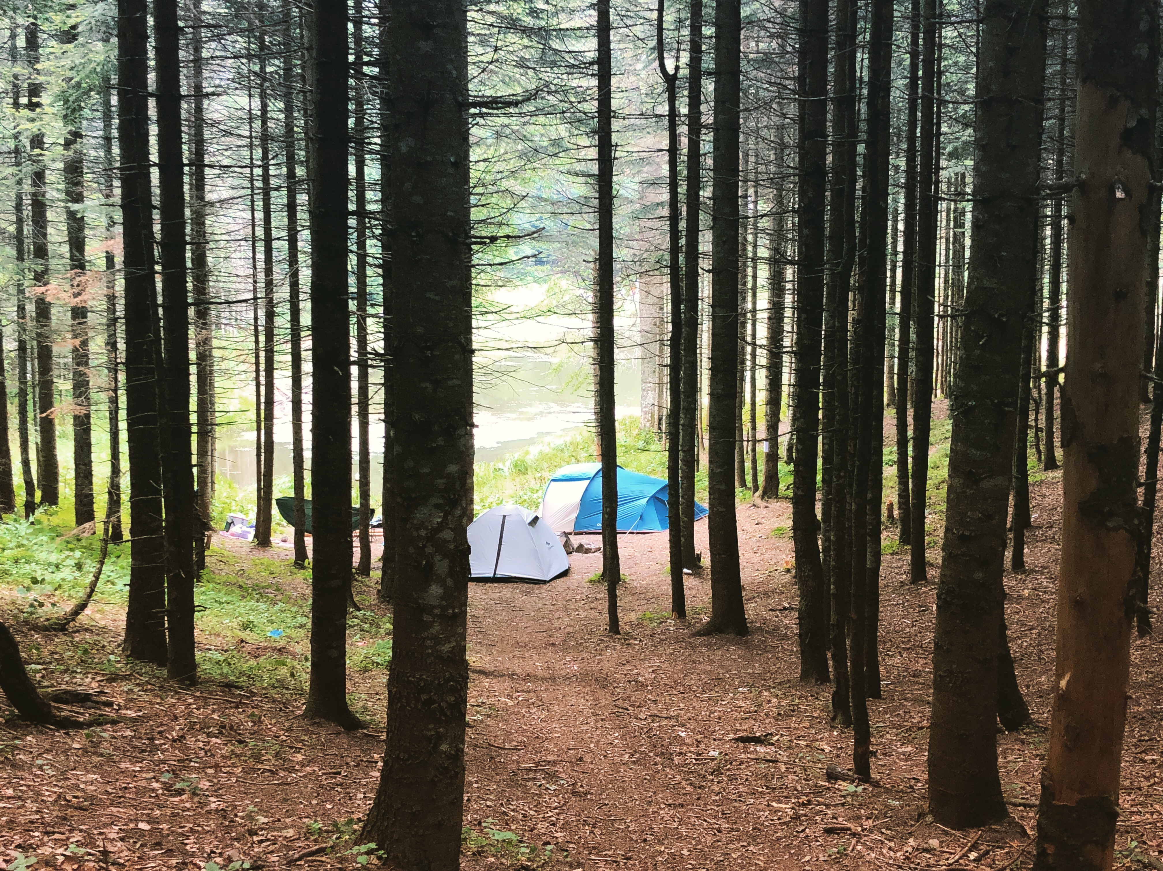Düzce Torkul Göleti ve Yaylası Kamp