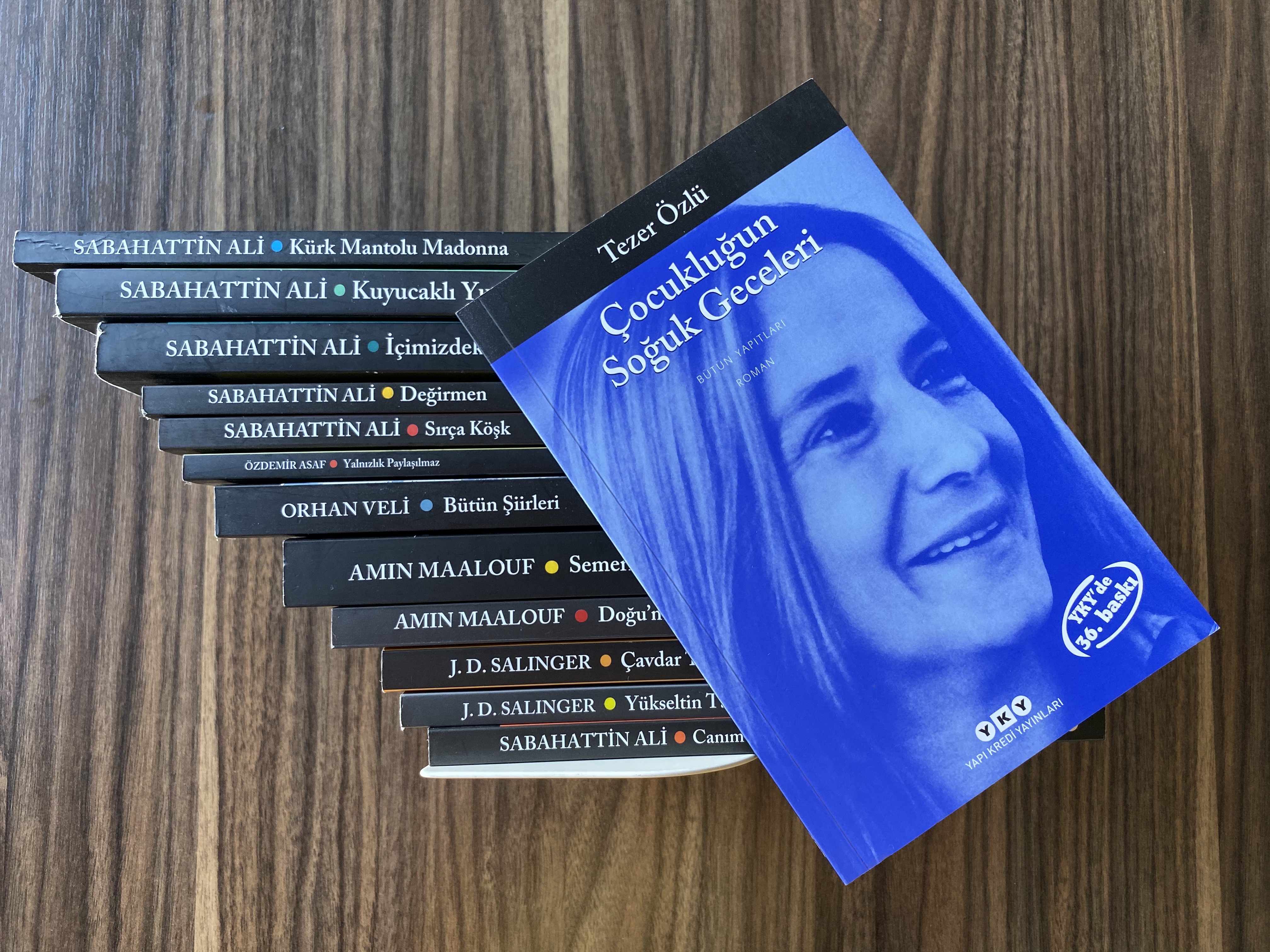 ÇOCUKLUĞUN SOĞUK GECELERİ – TEZER ÖZLÜ