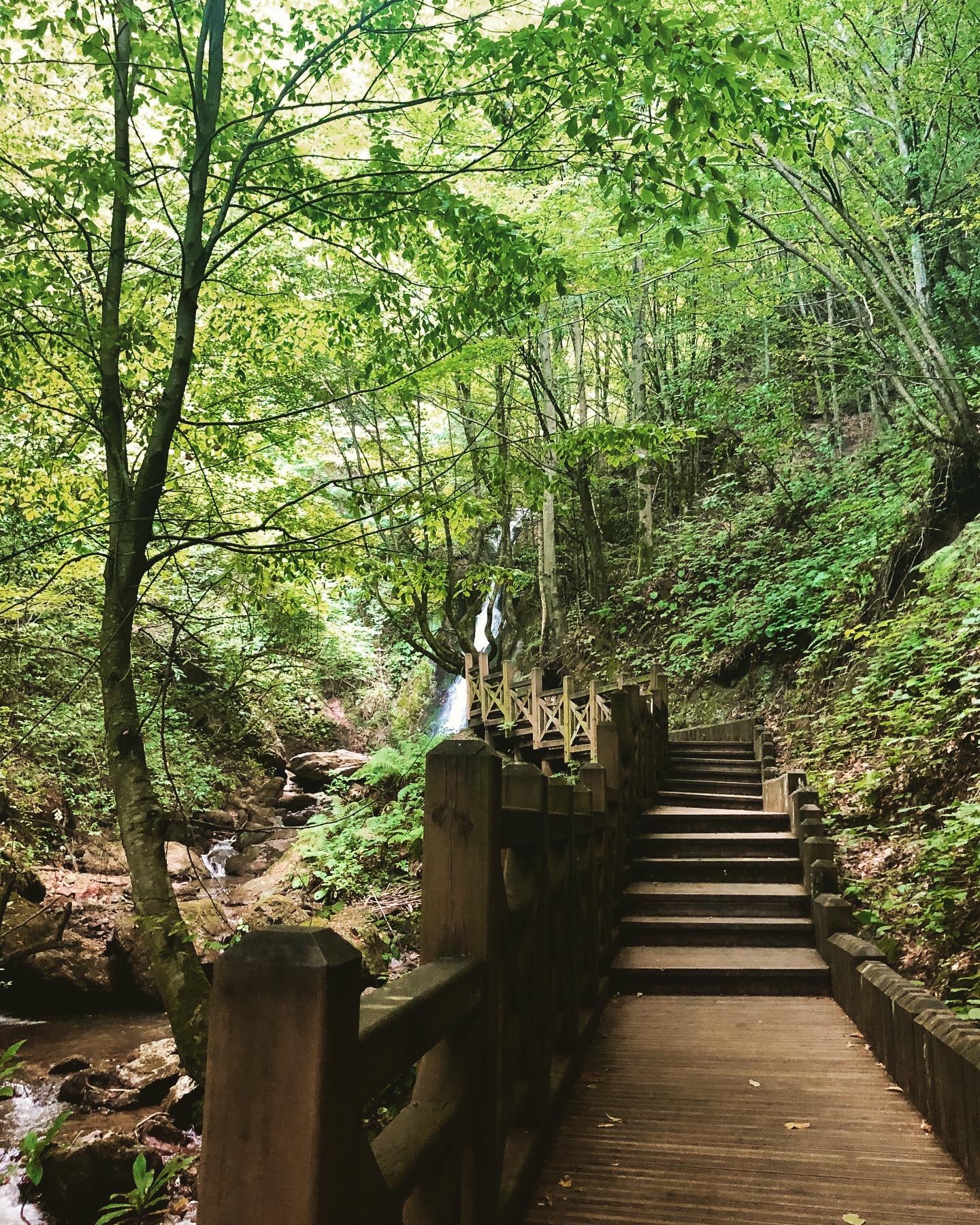 Düzce Aydınpınar Şelalesi