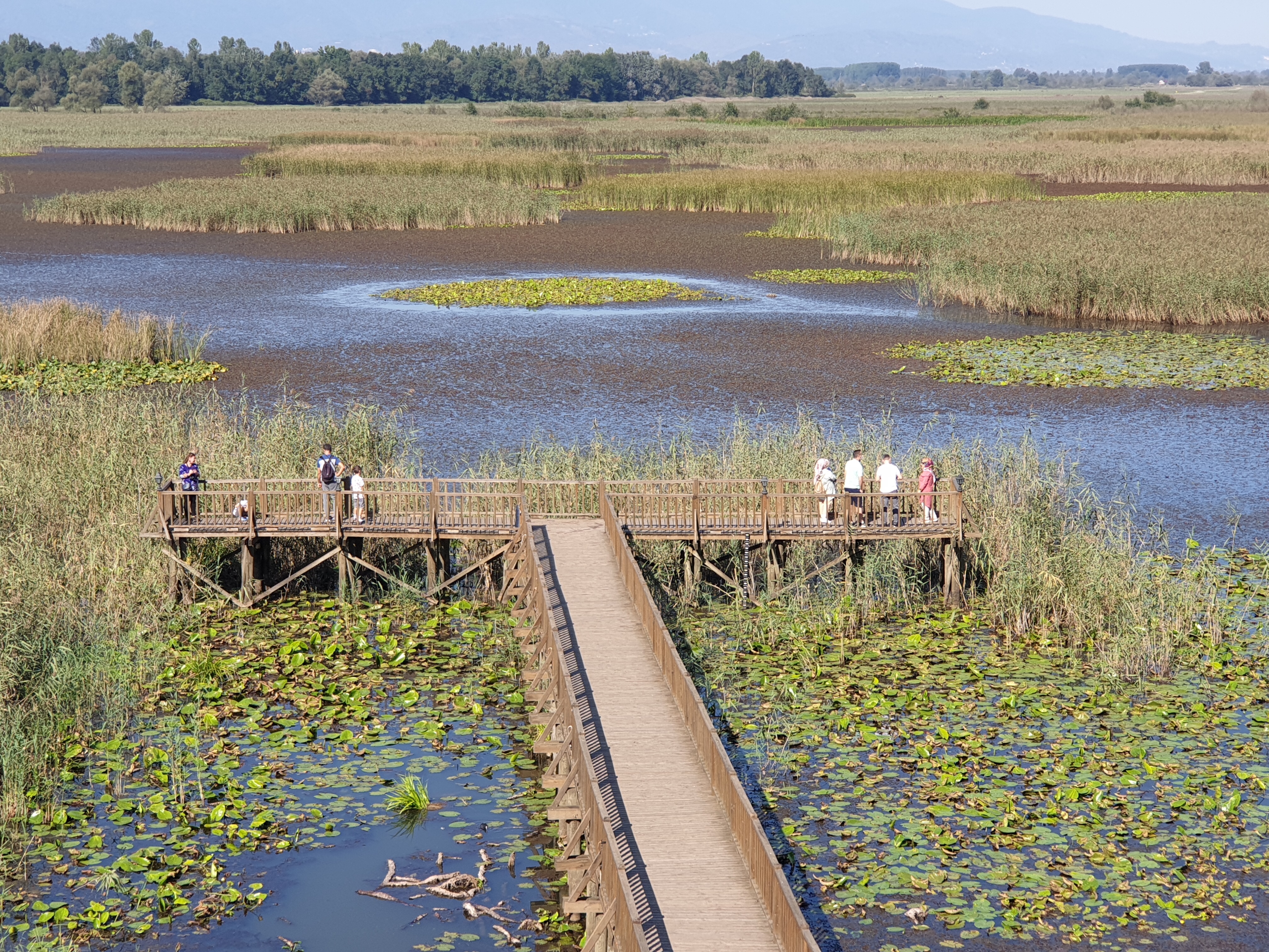Düzce Efteni Gölü