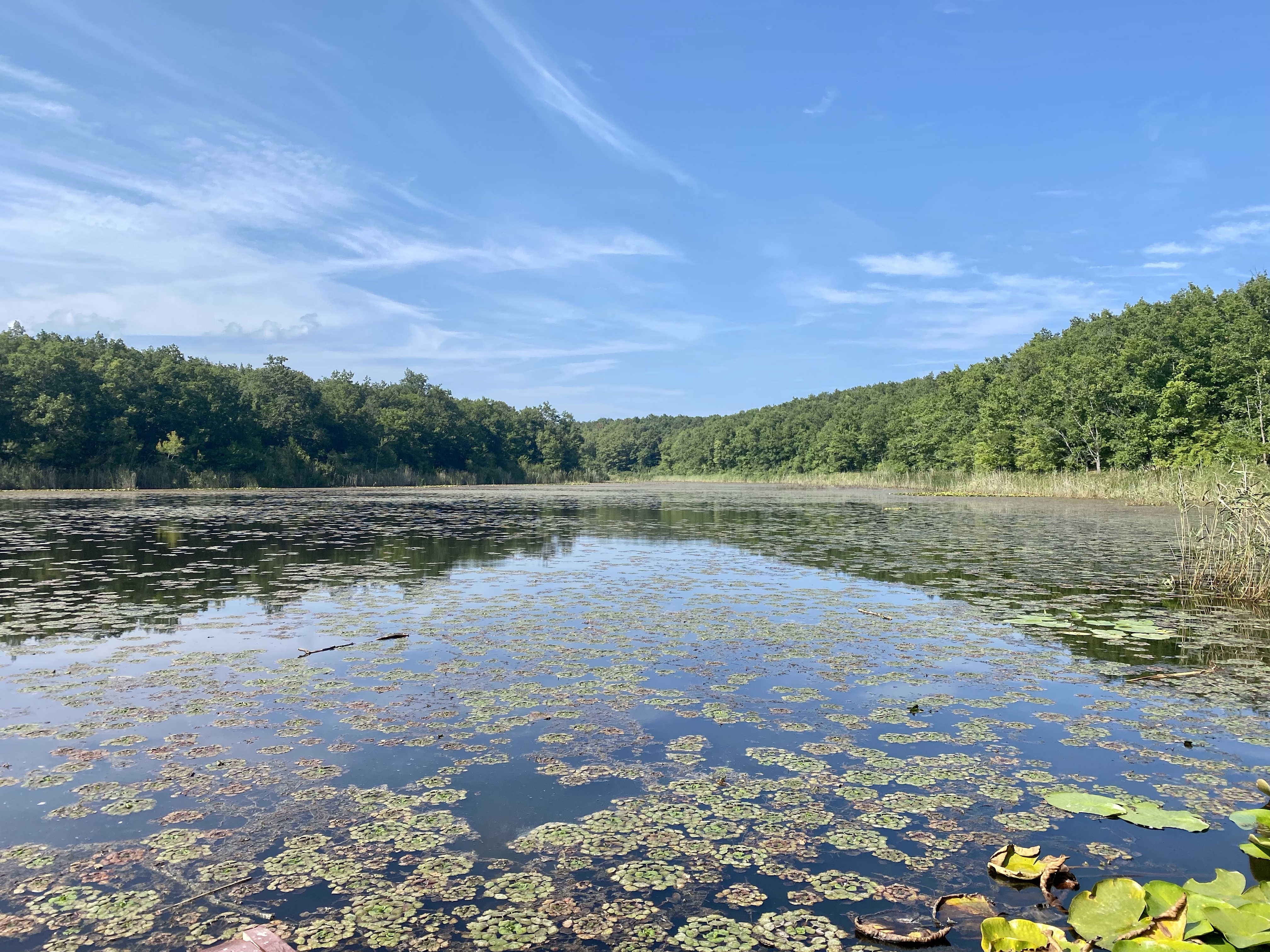 Longosphere Glamping’de Bir Haftasonu – İğneada Longoz Ormanları Gezisi